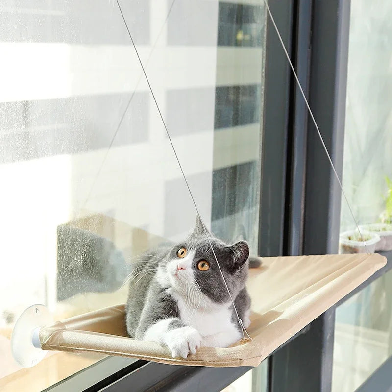 20kg Pet Cat Hammock Window Seat – Hanging Cat Bed with Strong Bearing, Comfortable Sunny Resting Spot & Kitten Climbing Frame