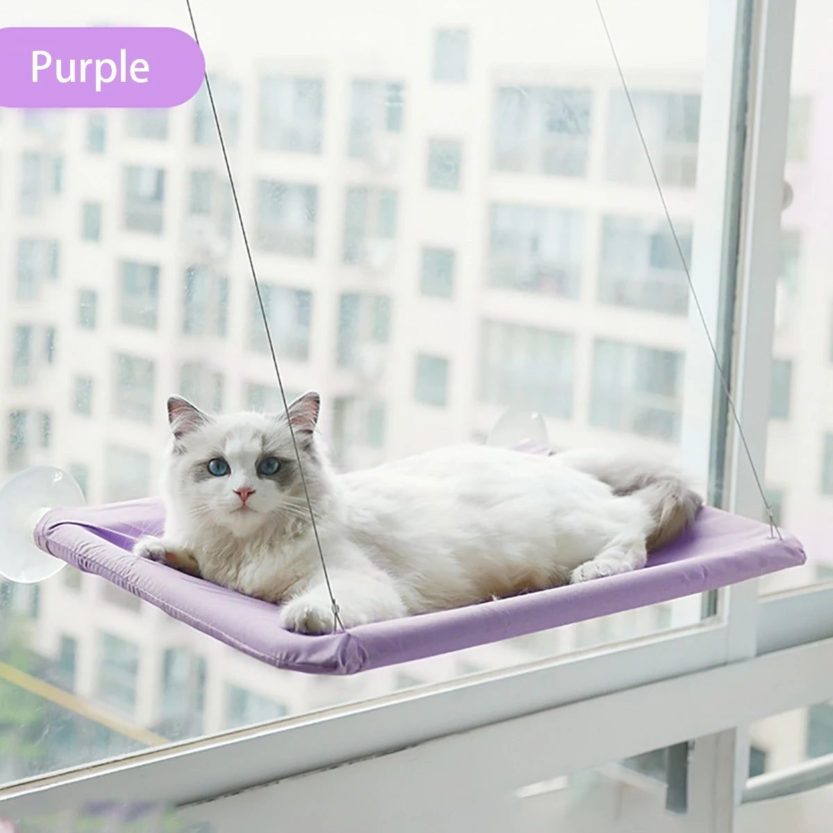 20kg Pet Cat Hammock Window Seat – Hanging Cat Bed with Strong Bearing, Comfortable Sunny Resting Spot & Kitten Climbing Frame