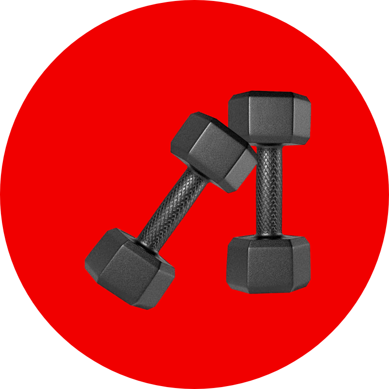 Workout and Fitness