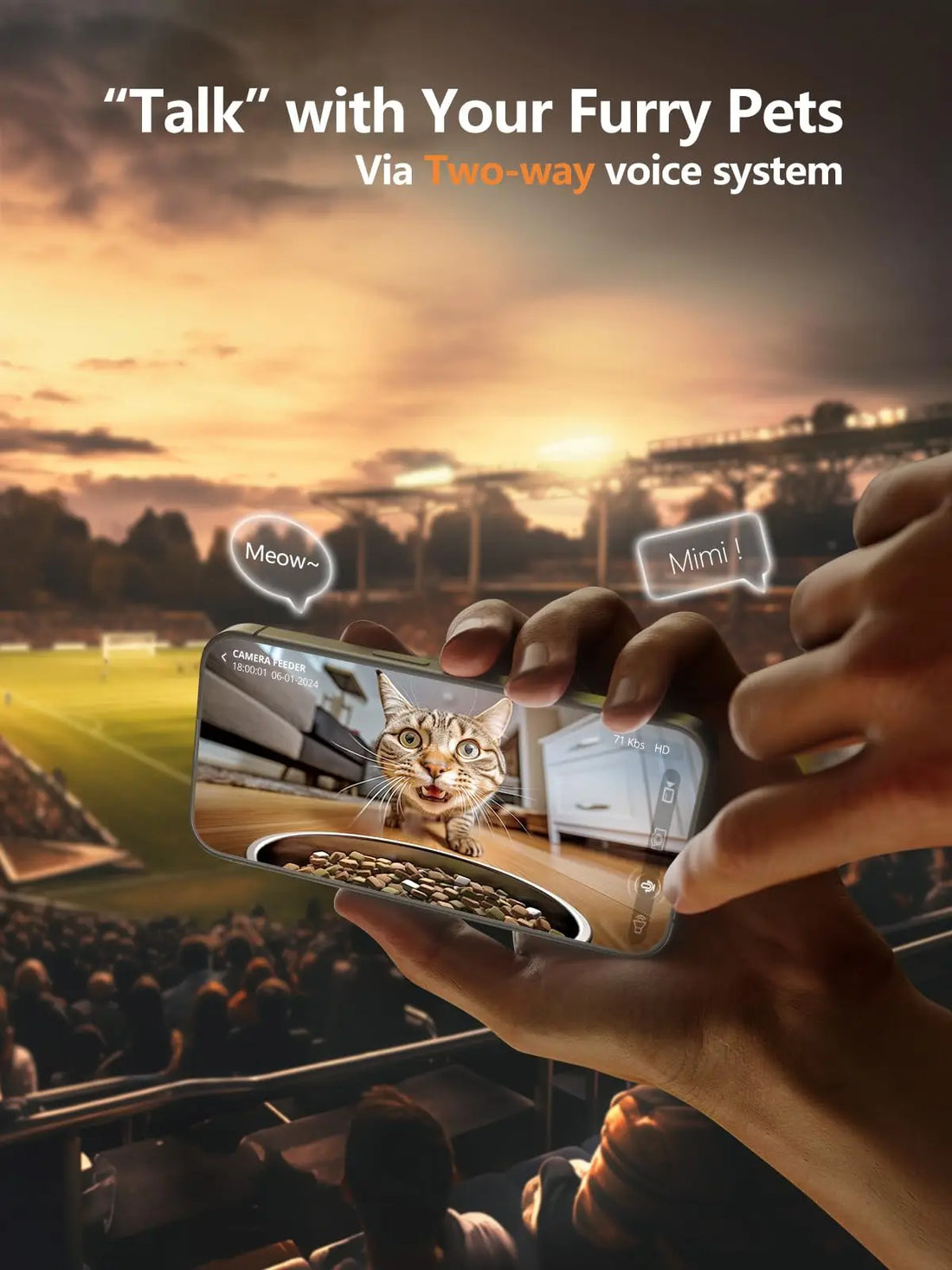 Automatic Smart Cat Feeder with Camera