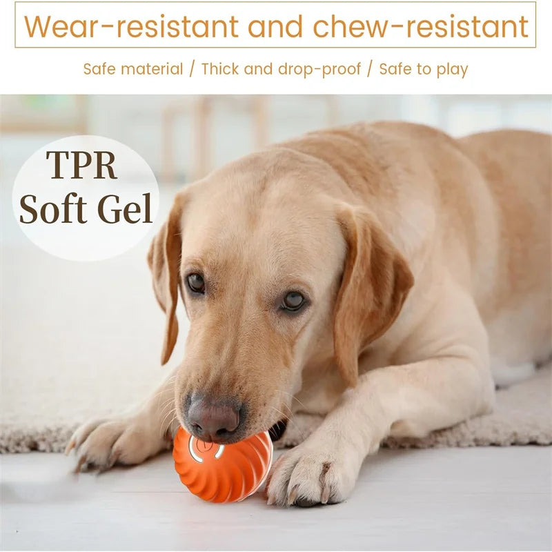 Smart Interactive Pet Ball – USB Rechargeable, Automatic Bouncing & Rolling Toy for Dogs & Cats