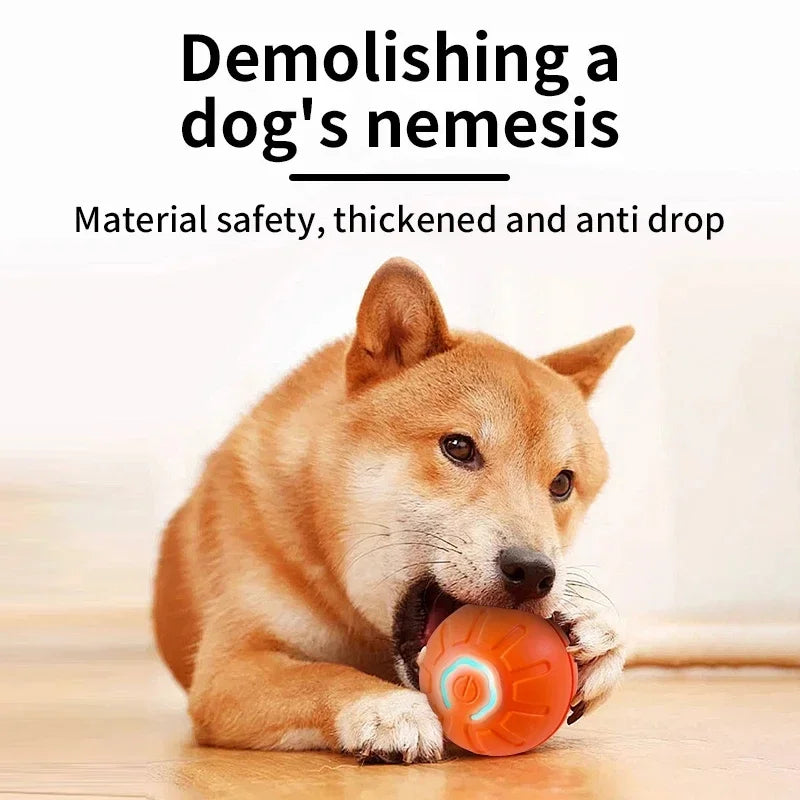 Smart Interactive Pet Ball – USB Rechargeable, Automatic Bouncing & Rolling Toy for Dogs & Cats