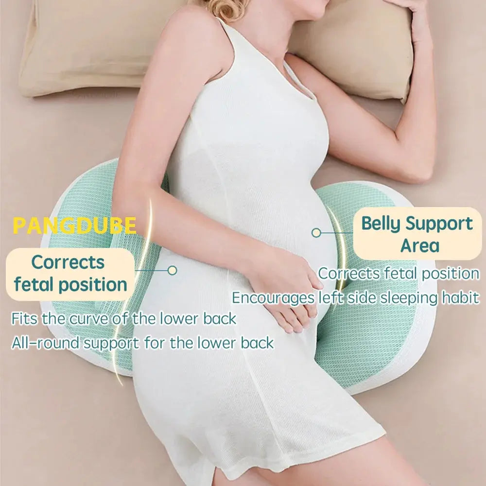 PANGDUBE Pregnancy Pillow – Full Body Support with Waist Pillow for Moms-to-Be WRLDEU SHOP
